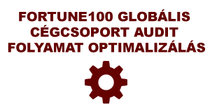Fortune100 globális cégcsoport audit folyamat optimalizálás
